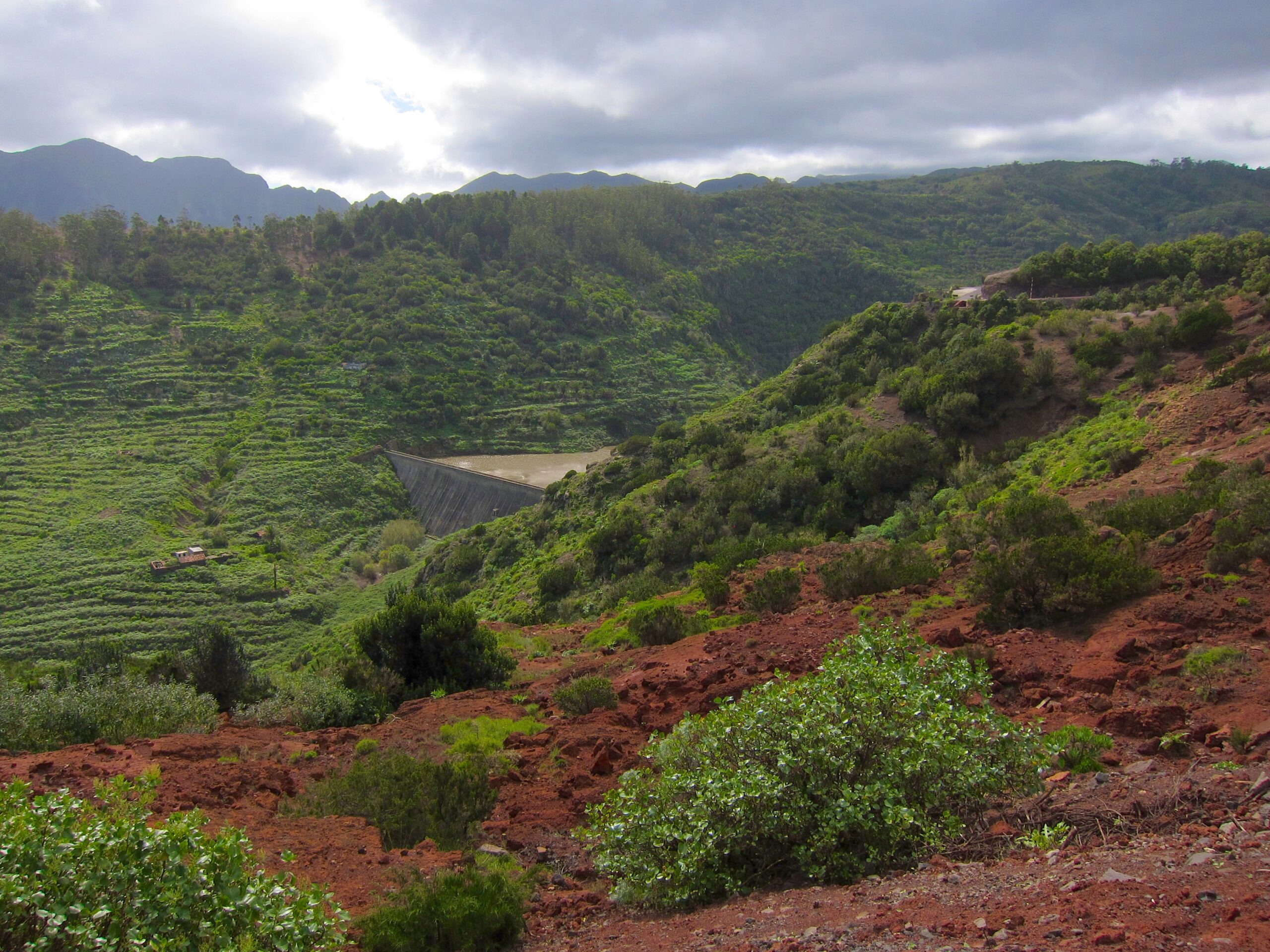 The verdant valleys and volcanic terrain surrounding Mirador de Abrante offer sweeping views of La Gomera's dramatic landscape.