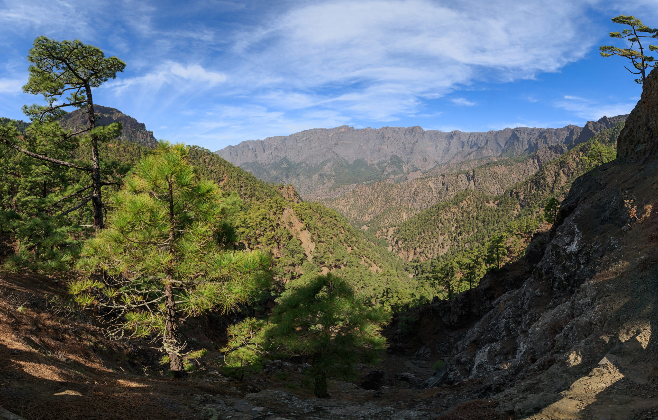 The verdant valley and rugged volcanic peaks visible from Mirador de la Cumbrecita showcase La Palma's dramatic highland terrain.