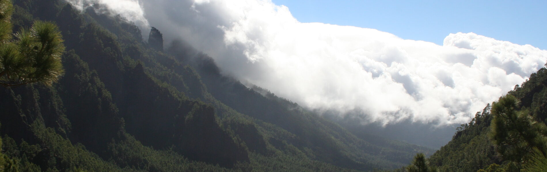 Forested mountain valley with steep green slopes beneath dramatic white clouds and blue sky