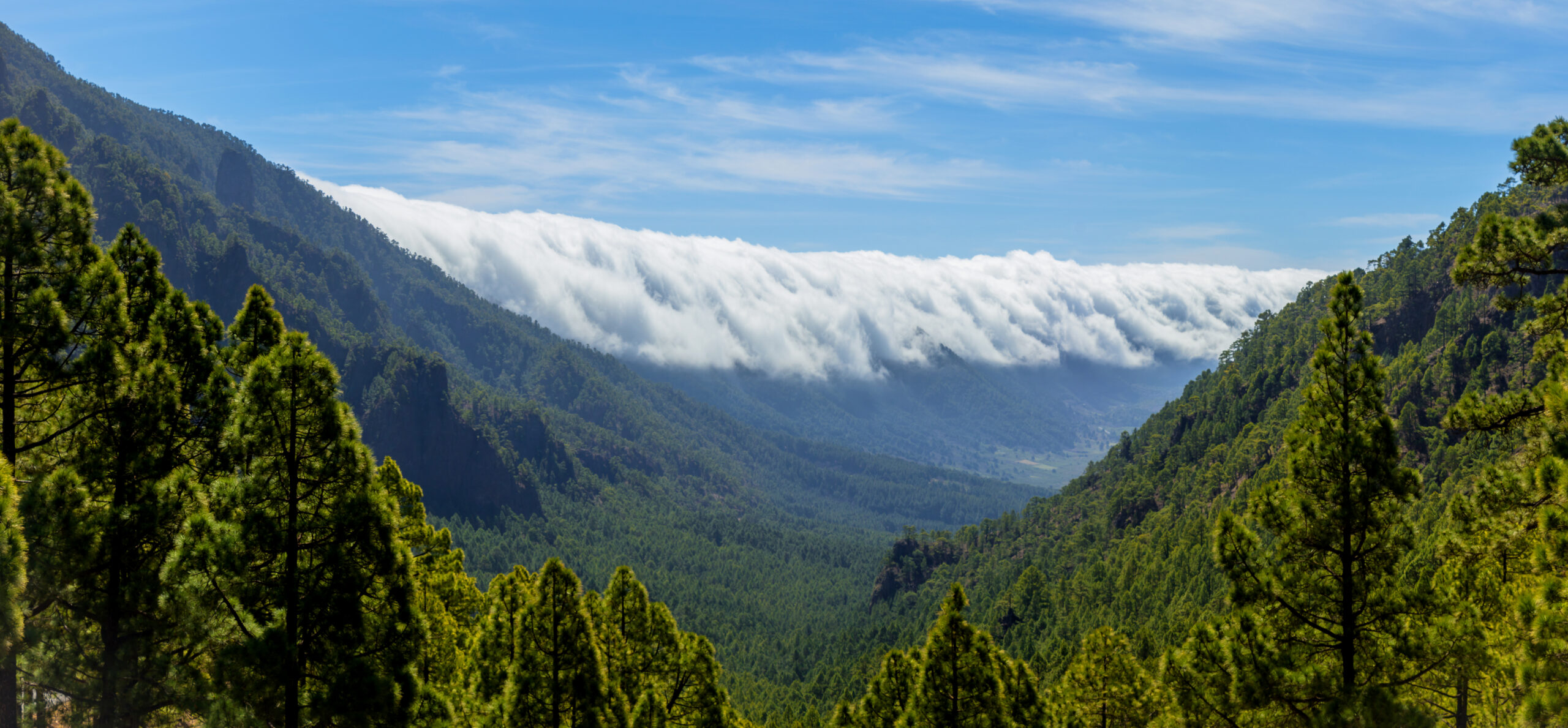 The Mirador de la Cumbrecita offers sweeping views across La Caldera's forested valleys with striking cloud formations crowning the distant ridges.