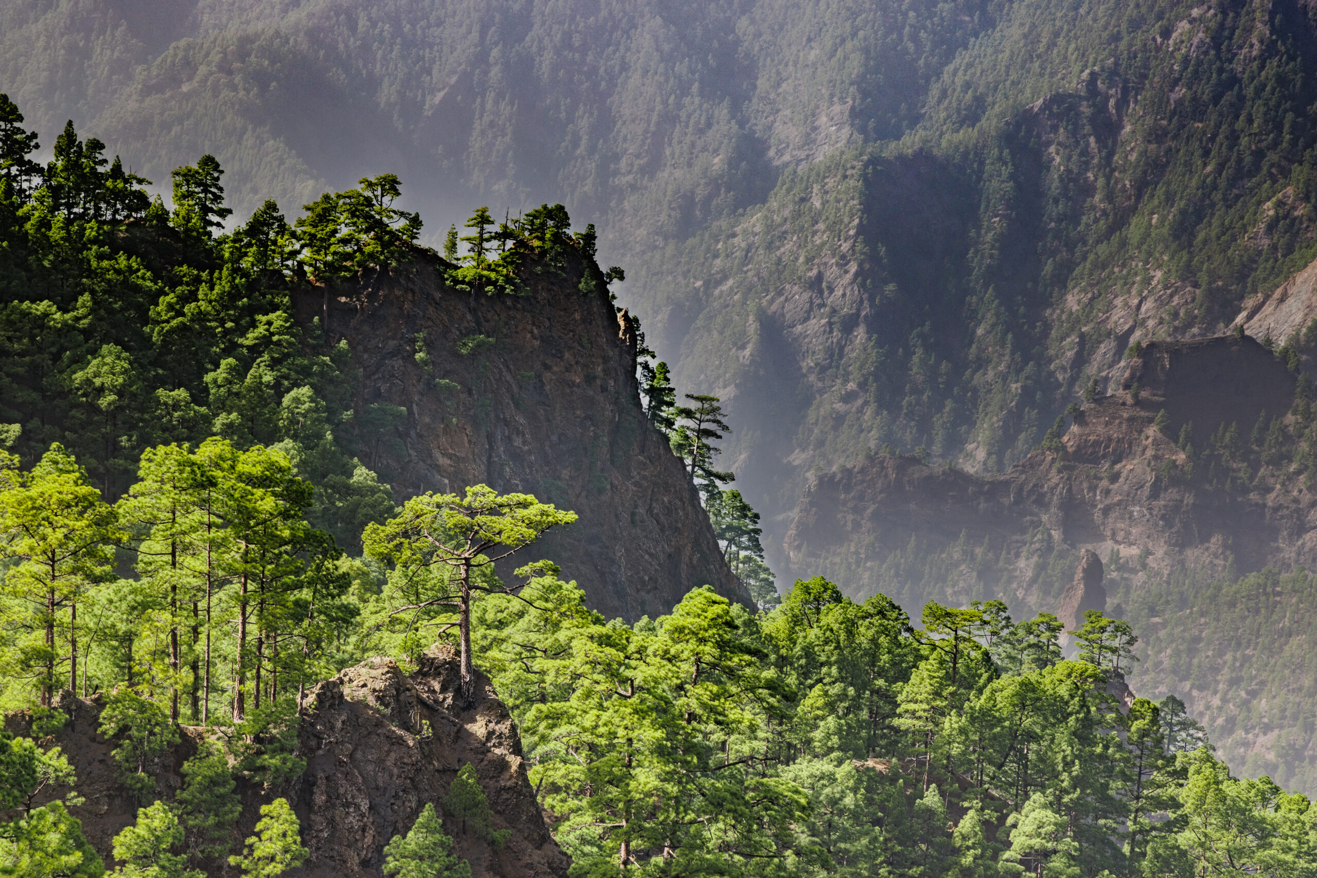 The dramatic volcanic landscape around Mirador de la Cumbrecita reveals towering cliff faces and lush pine-covered slopes descending into a remote mountain valley.