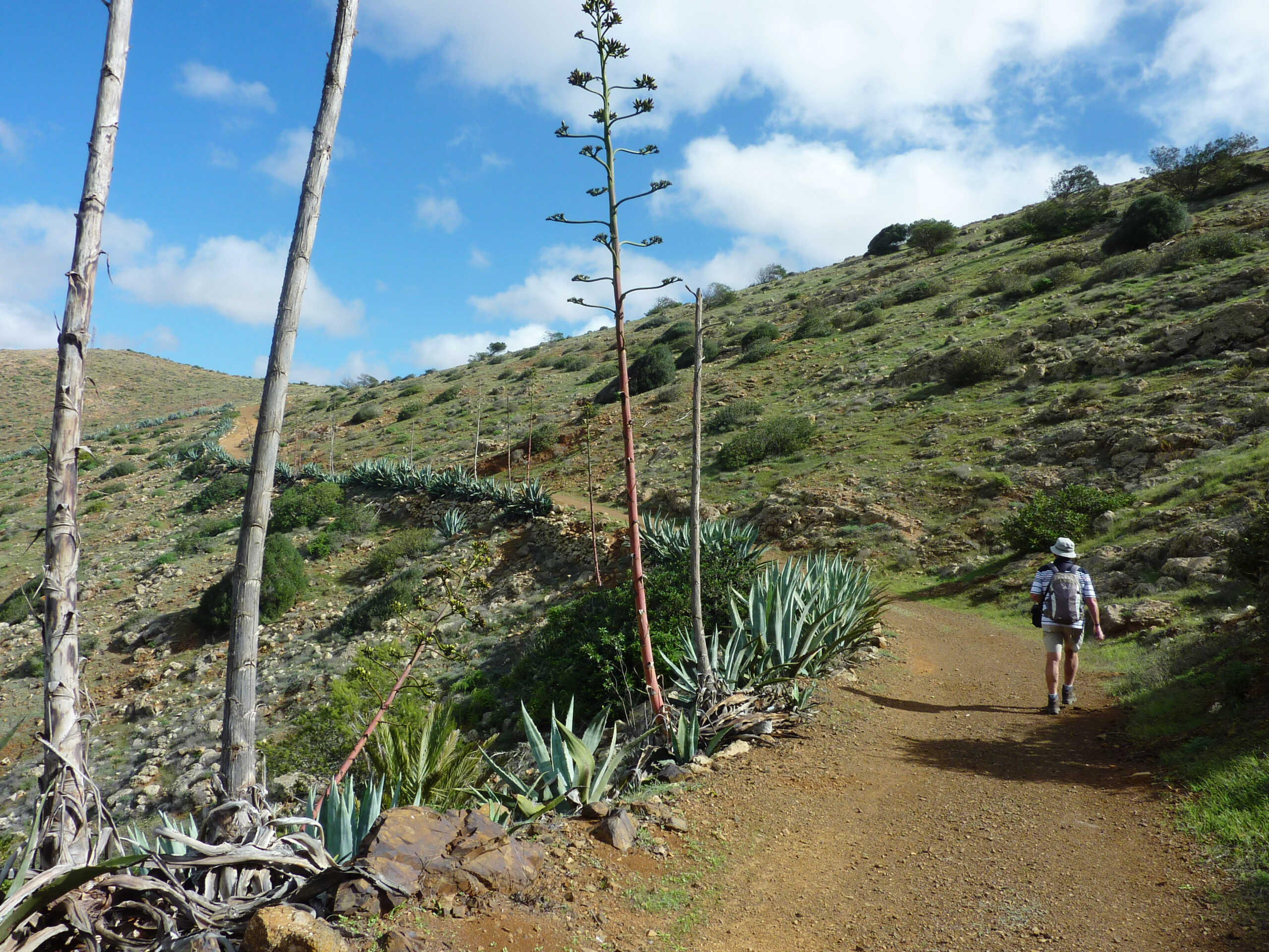 Hiking from Betancuria to Morro Velosa (Fuerteventura)