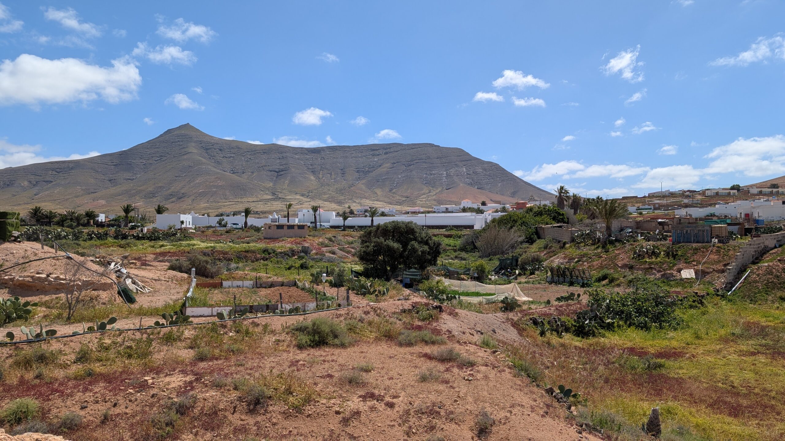 Montaña de Tindaya dominates the landscape above the small village of Tindaya, with its distinctive volcanic cone visible across the agricultural and residential terrain.