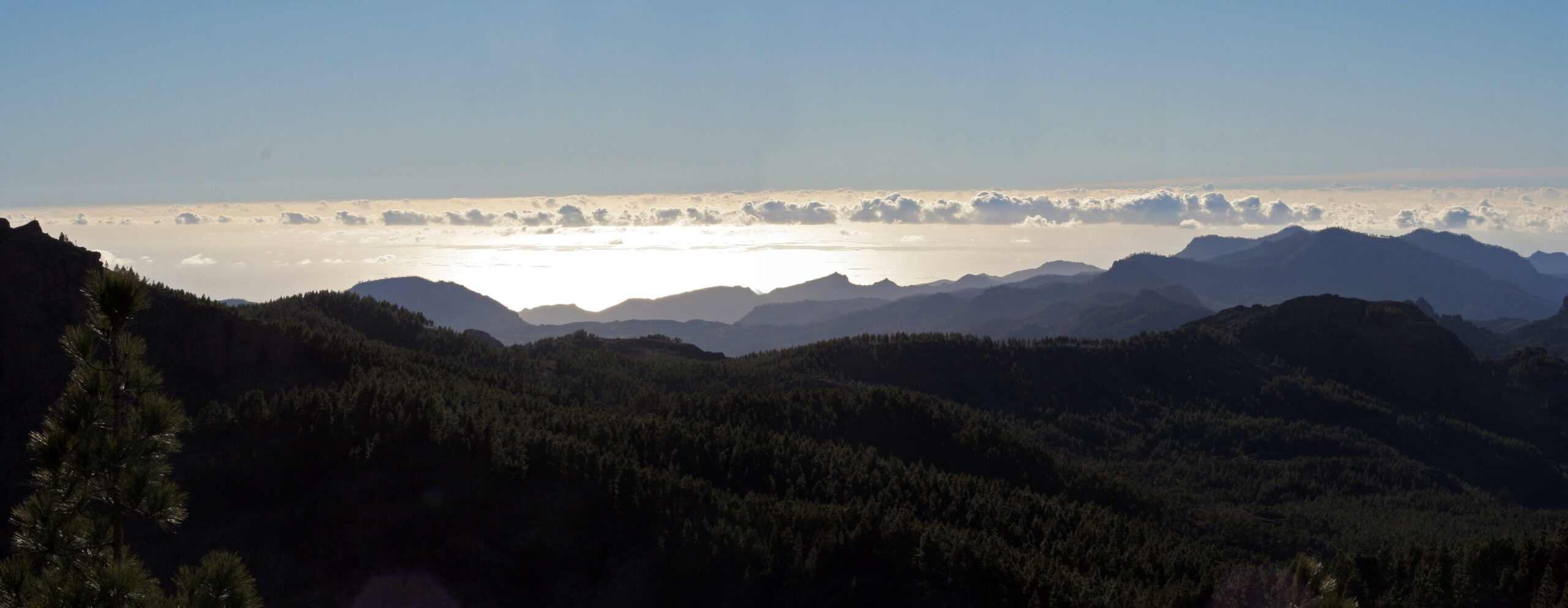 The dramatic view above the clouds from Pico de las Nieves, with pine-covered mountains rising from a sea of white clouds in the distance.