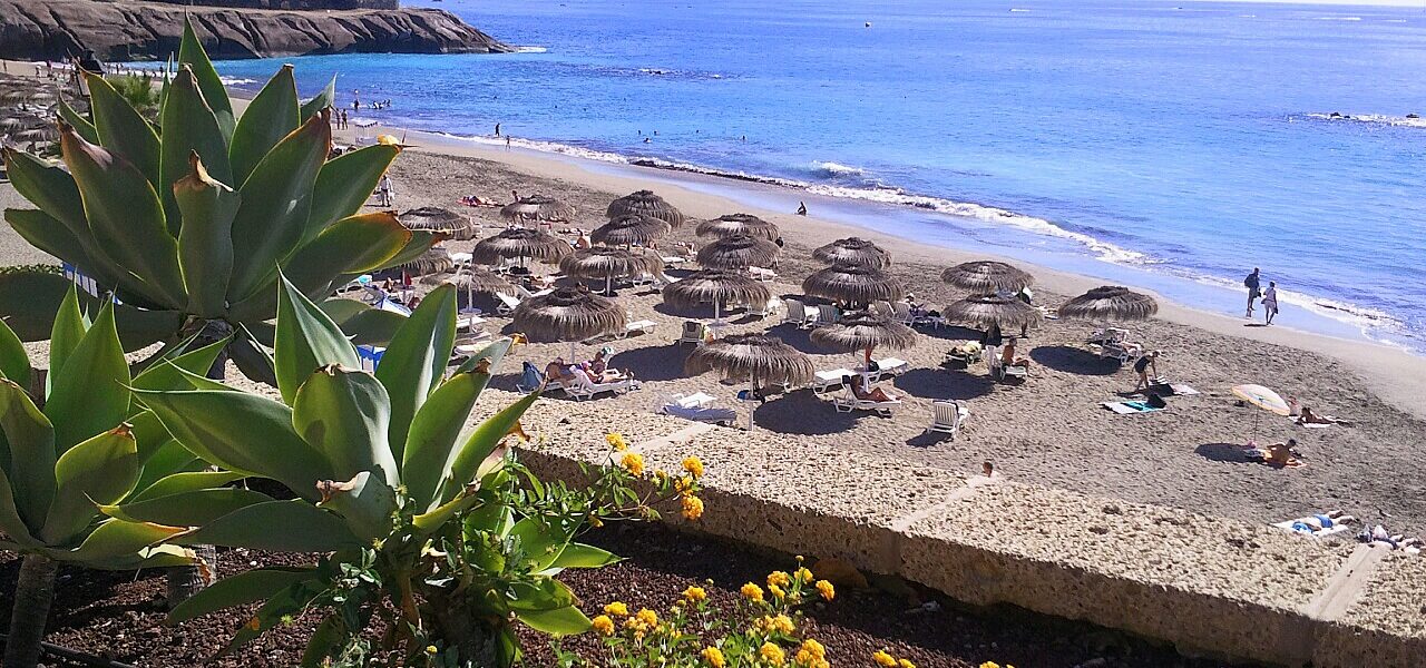 Beach cove with thatched umbrellas, golden sand, and bright blue water; coastal cliffs and city skyline in distance; yellow flowers and agave plant in foreground.