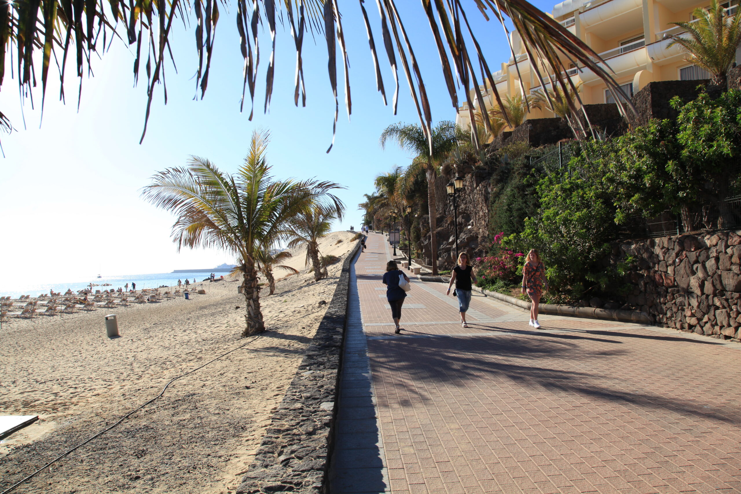 The beachfront promenade at Playa del Matorral offers a shaded palm-lined path above the sandy beach, with modern residential architecture rising along the coast.
