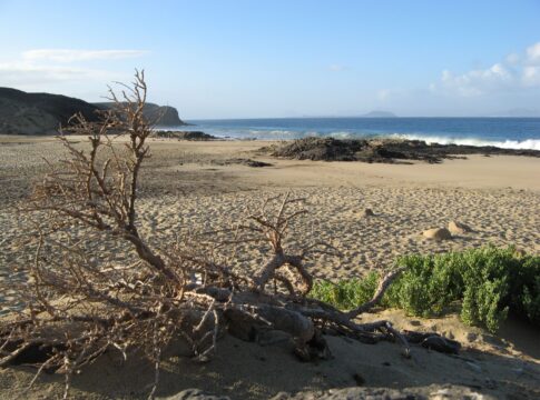 Playa del Pozo