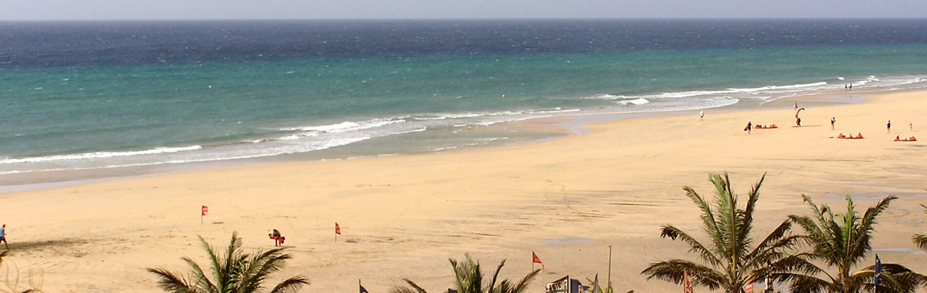 Wide sandy beach with turquoise water and white waves, palm trees in foreground, beach facilities and swimmers visible
