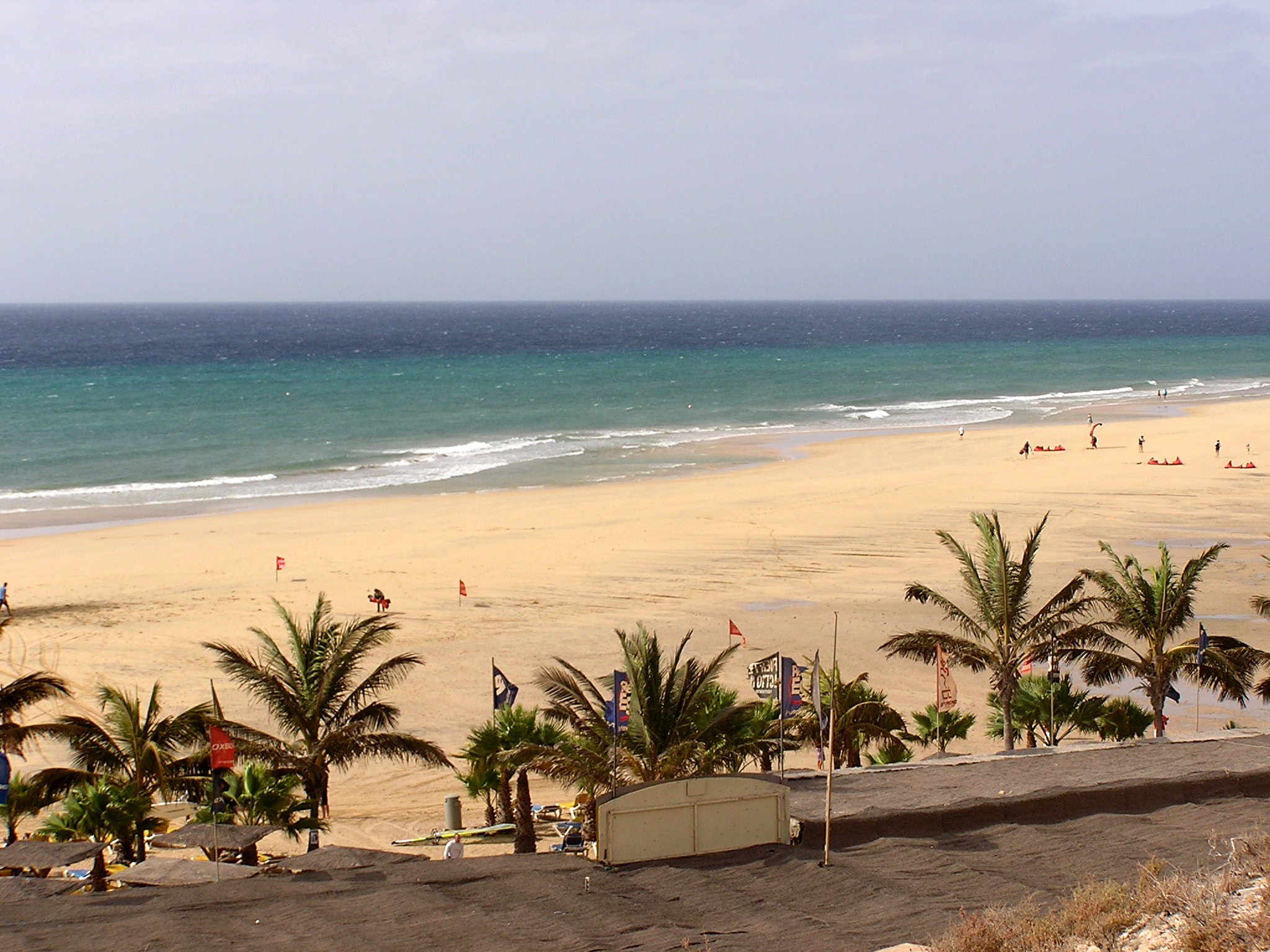 Playa Esmeralda stretches along Jandía's coast with pristine sand, clear turquoise waters, and palm-fringed beach amenities.