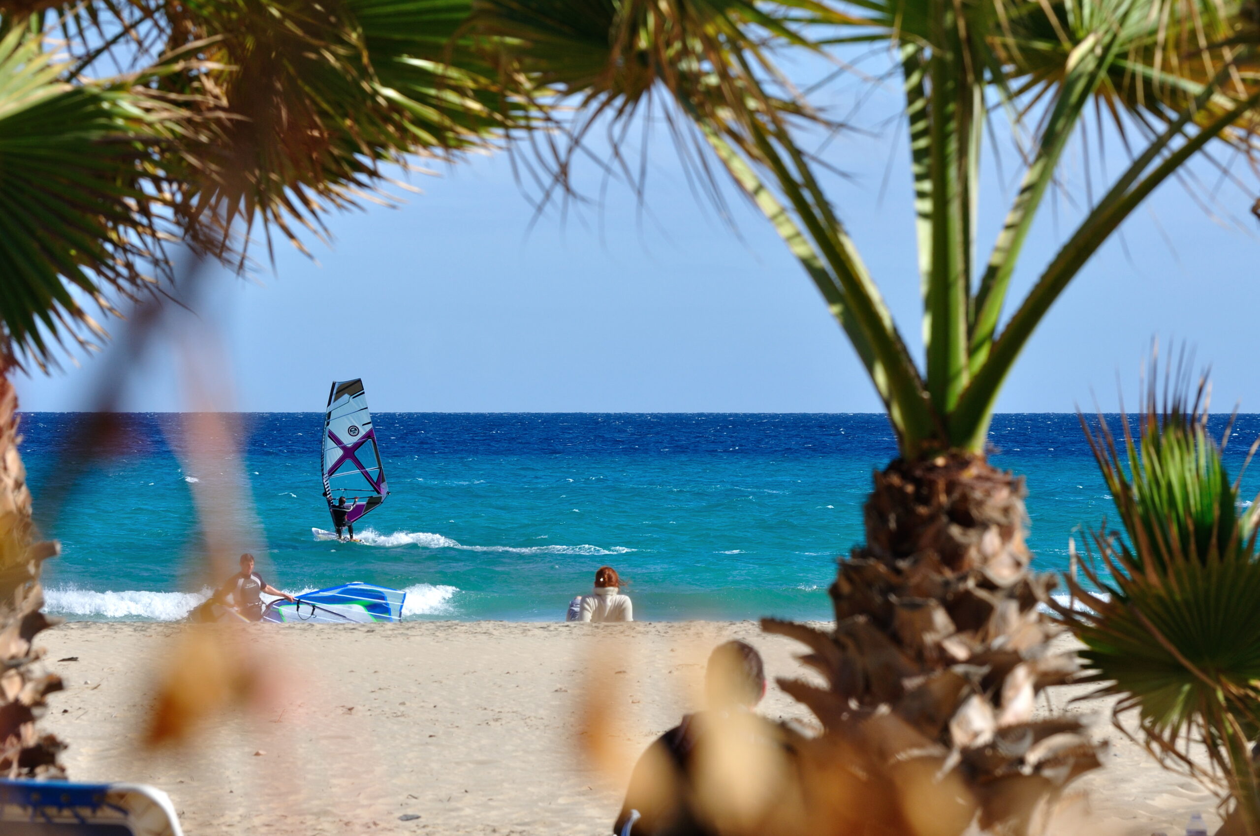 Playa Esmeralda's turquoise waters attract windsurfers and swimmers, sheltered by native palm trees that frame the coastline.