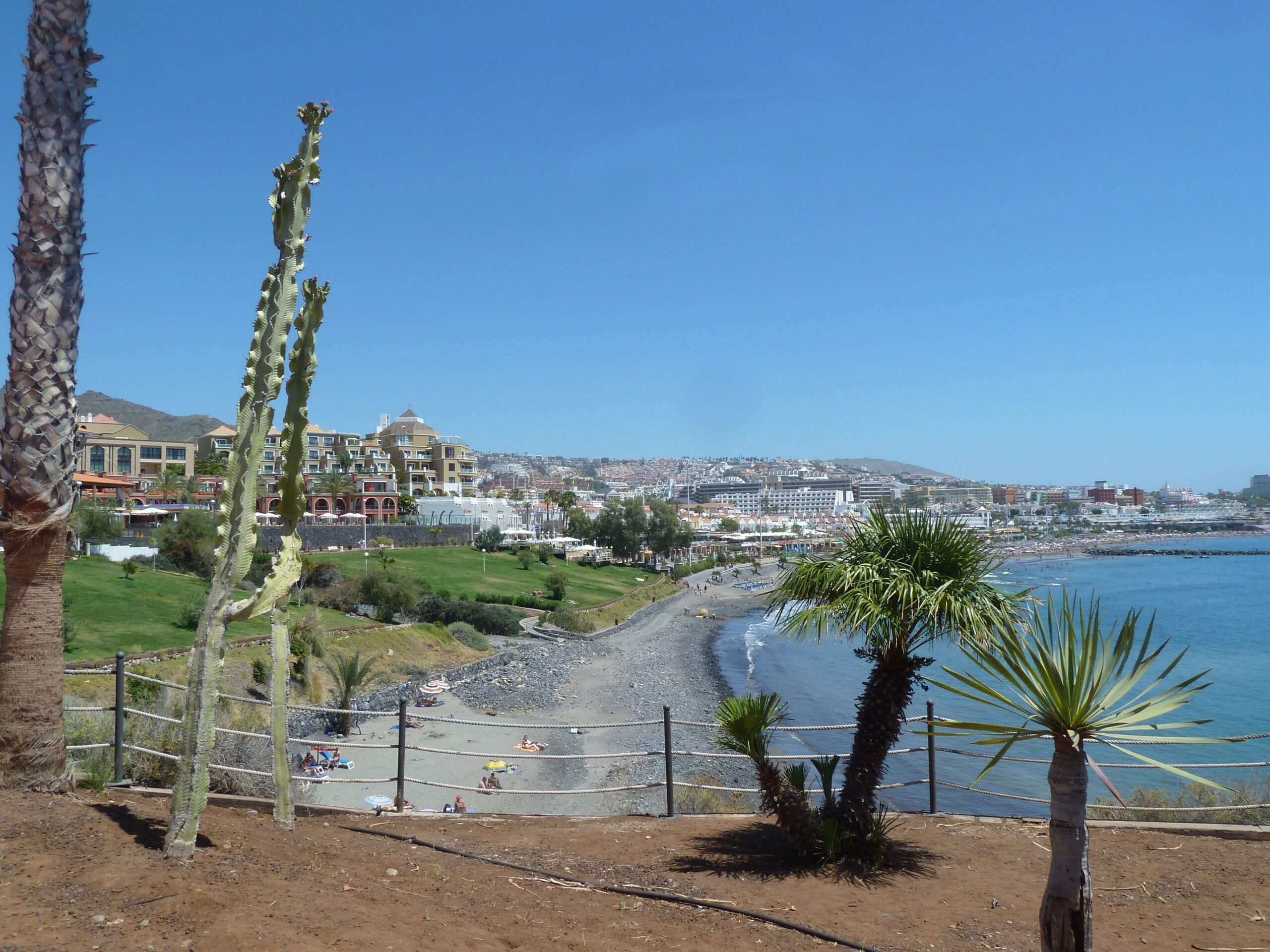 Coastal beach resort area with sandy shoreline, blue water, tall cacti, palm trees, and tiered apartment buildings on hillside under clear sky
