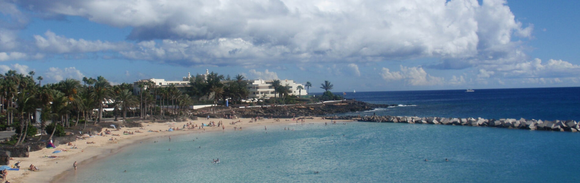 Sandy beach with turquoise water, sunbathers, and palm trees lining the shore under a blue sky with white clouds