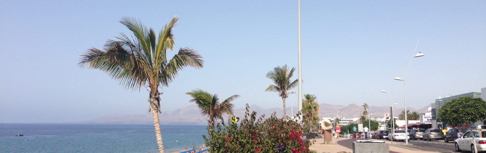 Sandy beach with palm trees, flowering shrubs with red blooms, and a promenade with street lamps along the waterfront.