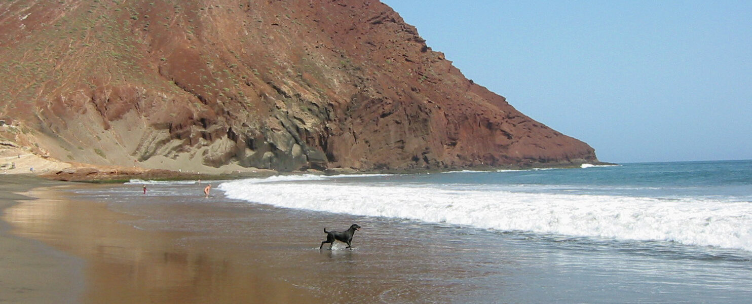 Sandy beach with rolling waves and a dog wading in shallow water; a distinctive reddish-brown volcanic cliff rises steeply from the shore under clear blue sky.