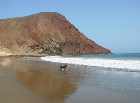 La Tejita Beach