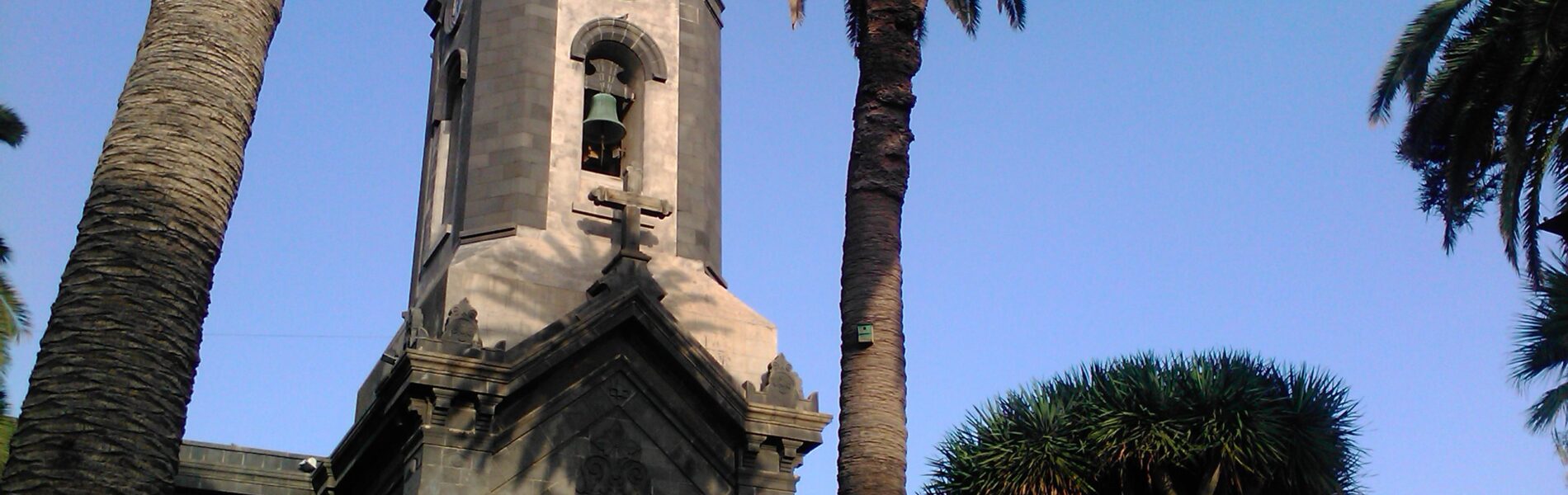 Stone church tower with clock face surrounded by tall palm trees under clear blue sky