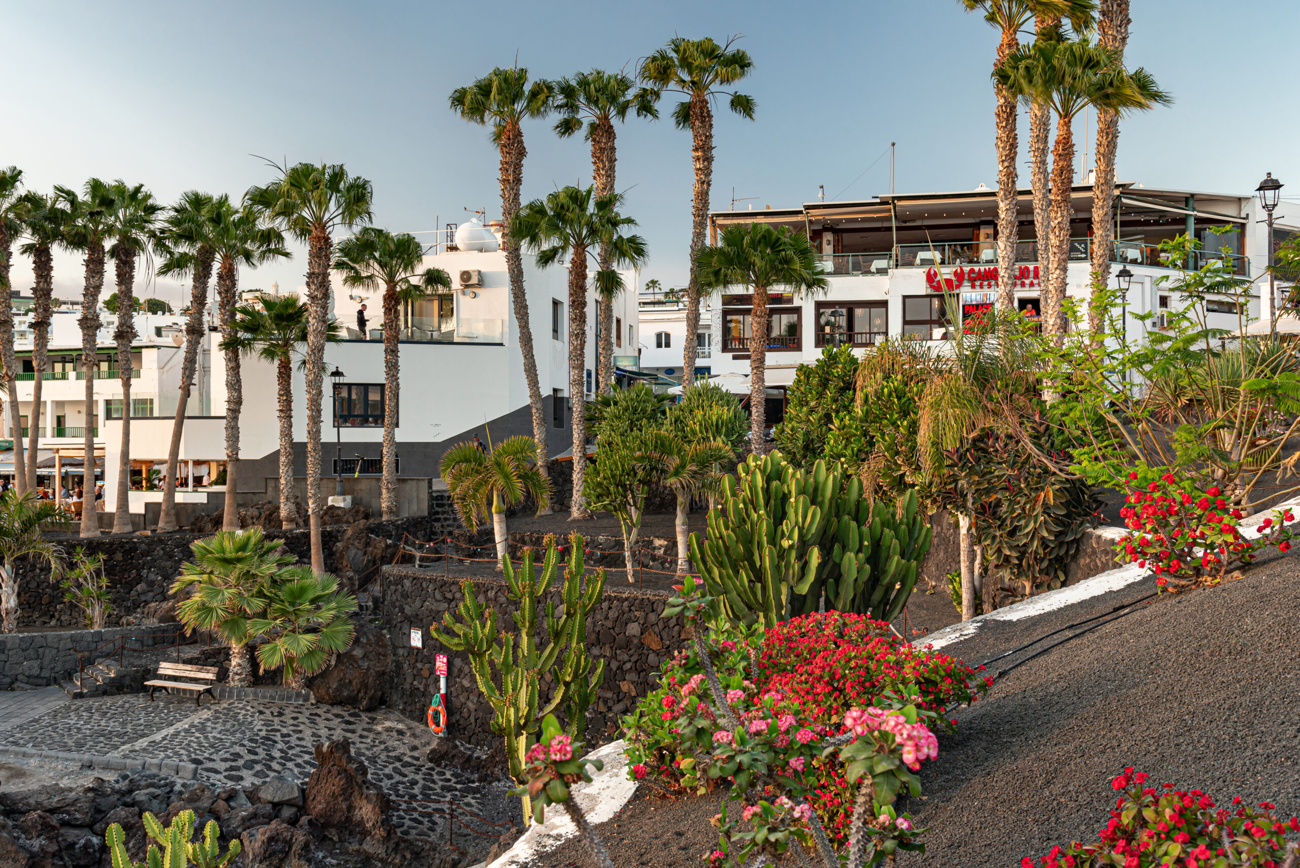 The charming old town of Puerto del Carmen features traditional whitewashed architecture, palm-lined streets, and vibrant gardens set against volcanic stone.