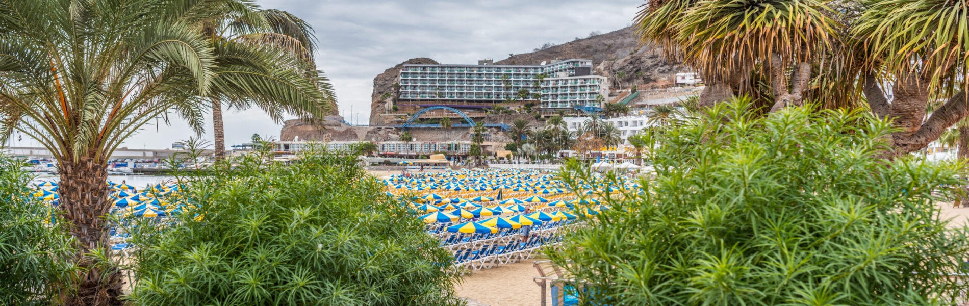 Sandy beach with rows of blue and yellow umbrellas, palm trees in foreground, cliff-side hotel and white buildings in background under cloudy sky