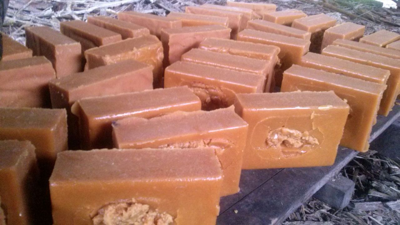 Blocks of rapadura canaria, a traditional Canarian brown sugar product, arranged to cure and dry.