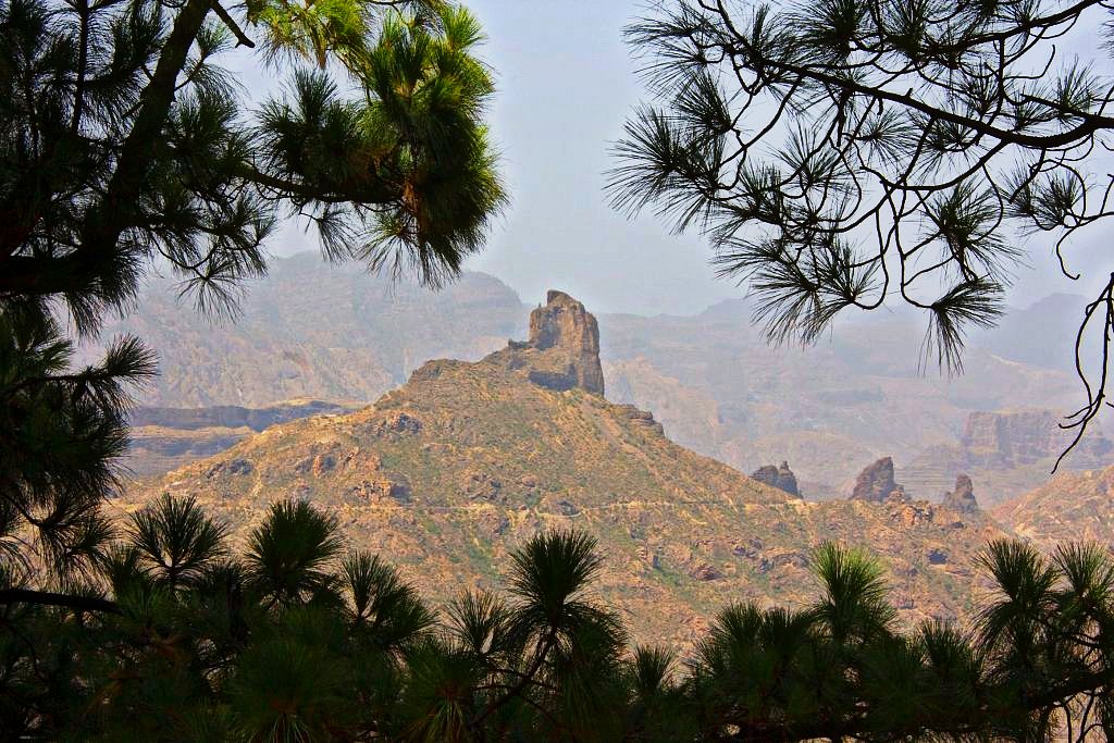 Roque Bentayga, a distinctive volcanic rock tower, dominates the rugged terrain of central Gran Canaria near Tejeda, framed by native dragon trees in the foreground.