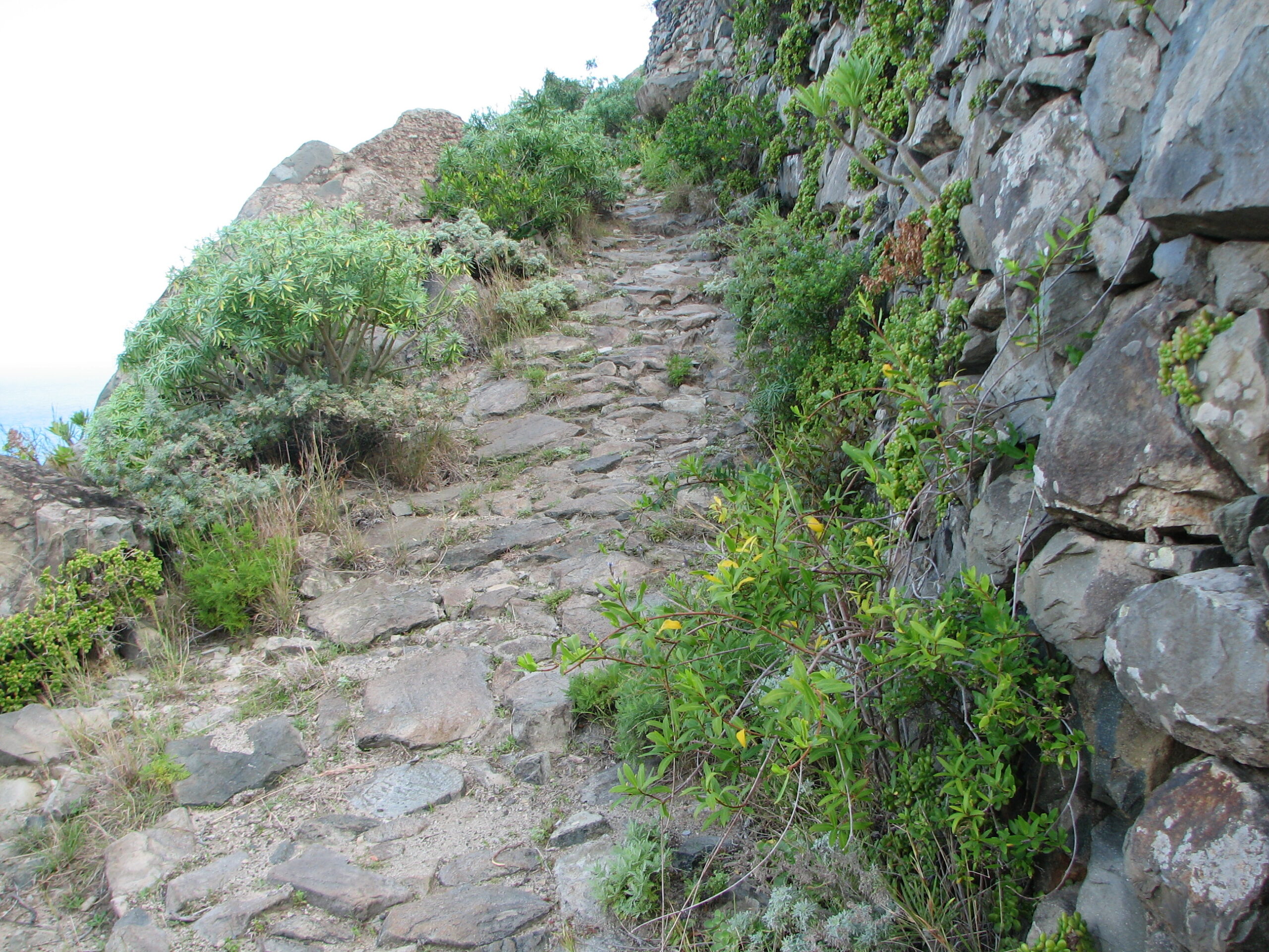 Stone stepped hiking path ascending a steep mountainside, flanked by weathered rock walls covered with green vegetation and wildflowers.
