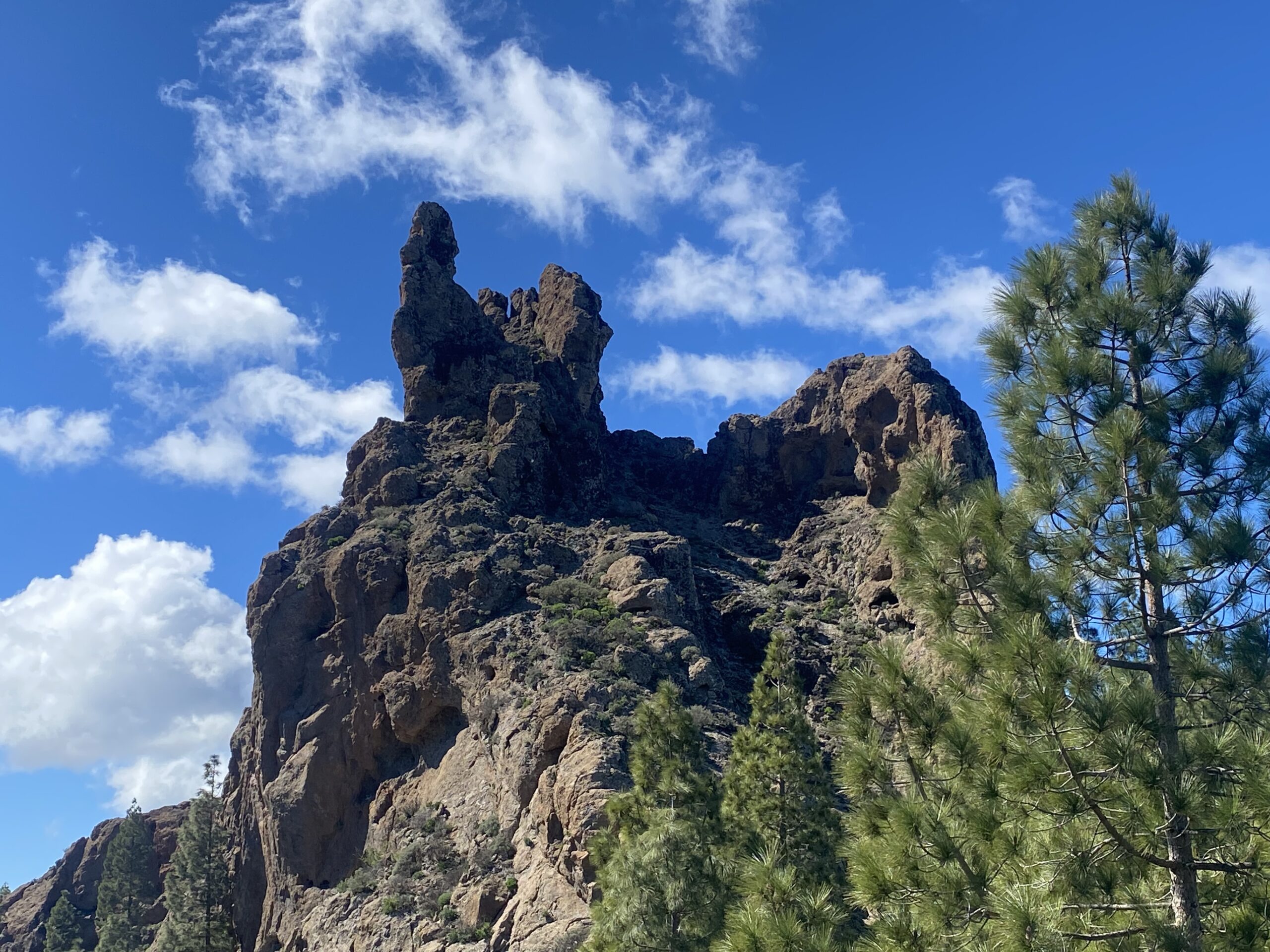 Roque Nublo rises majestically above the Gran Canaria landscape, its iconic volcanic rock formation framed by native pine trees beneath a clear sky.