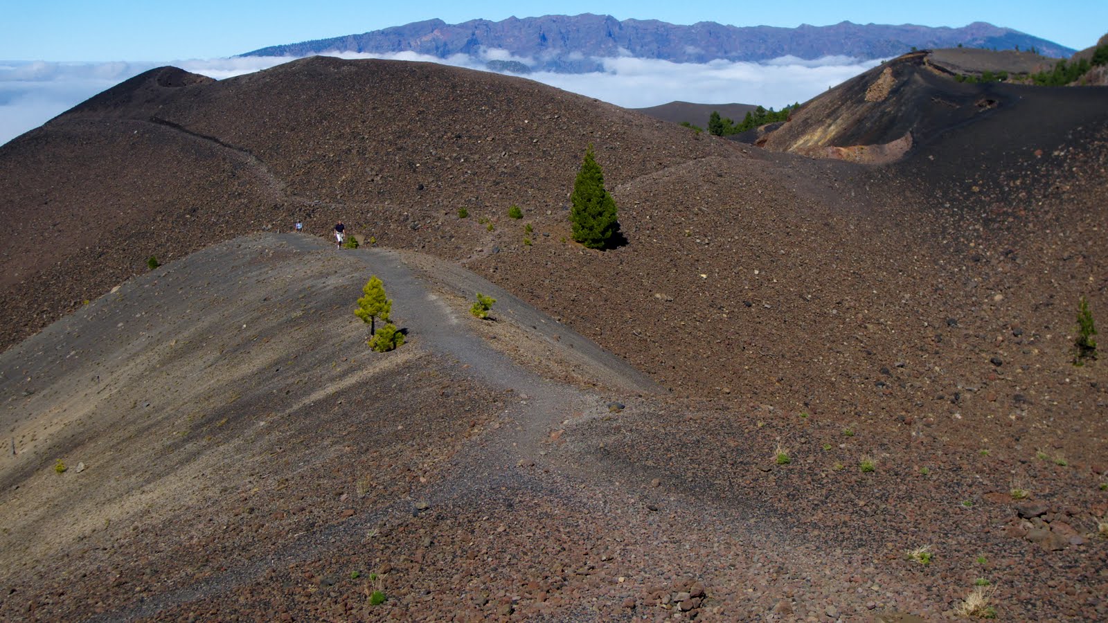 The volcanic landscape of Cumbre Vieja features distinctive cinder cones formed by ancient eruptions, dotted with hardy vegetation against barren lava fields.