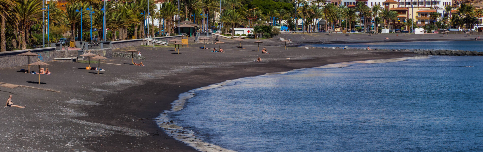 Black sand beach with blue ocean waves, palm trees lining the shore, and a hillside town of colorful buildings