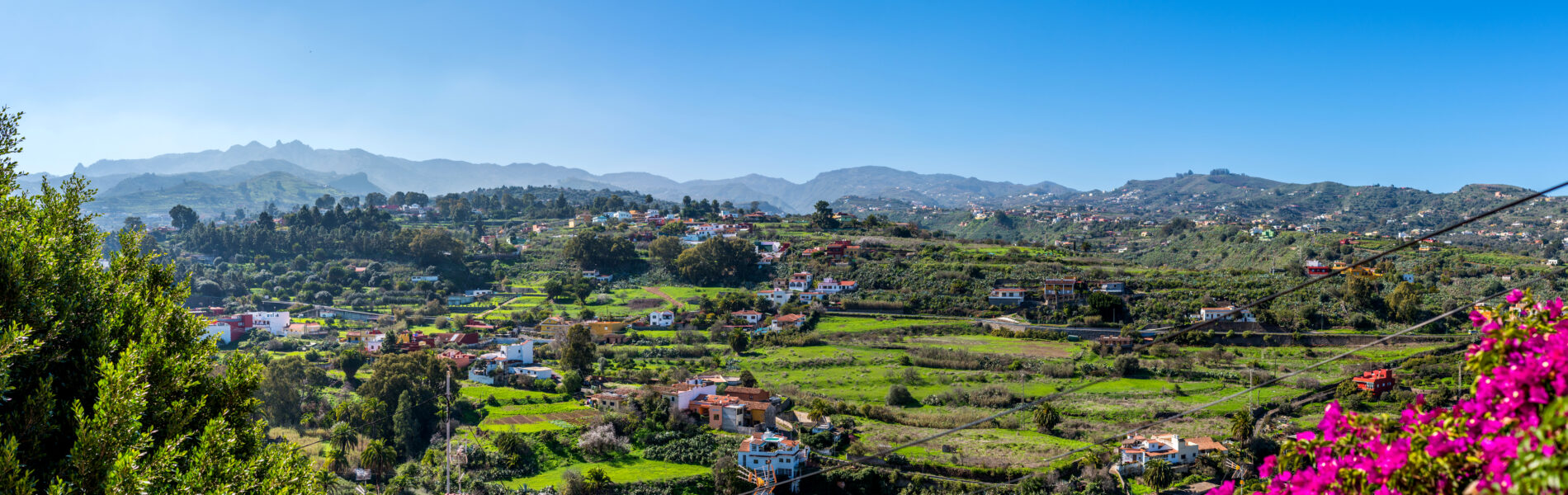 Lush green valley landscape with scattered houses, mountains in background, magenta flowers in foreground under clear blue sky