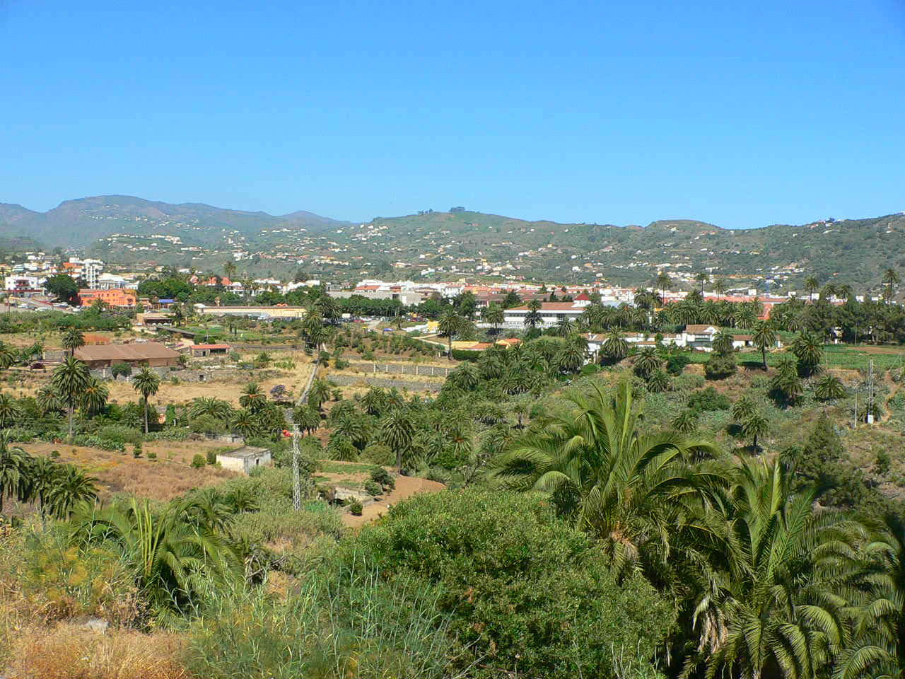 Santa Brígida spreads across a verdant valley with characteristic palm-dotted landscape and hillside settlements typical of Gran Canaria's interior.