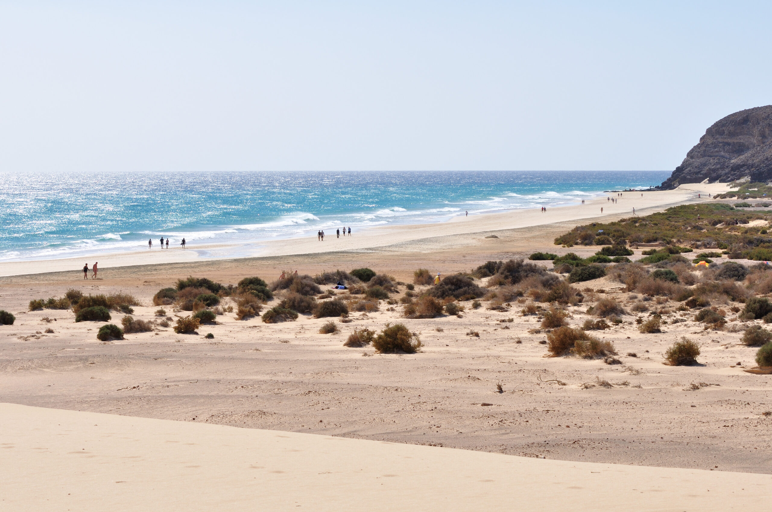 Sotavento Beach stretches across a broad expanse of sand fringed with low coastal scrub, with clear waters and rocky headlands framing the bay.