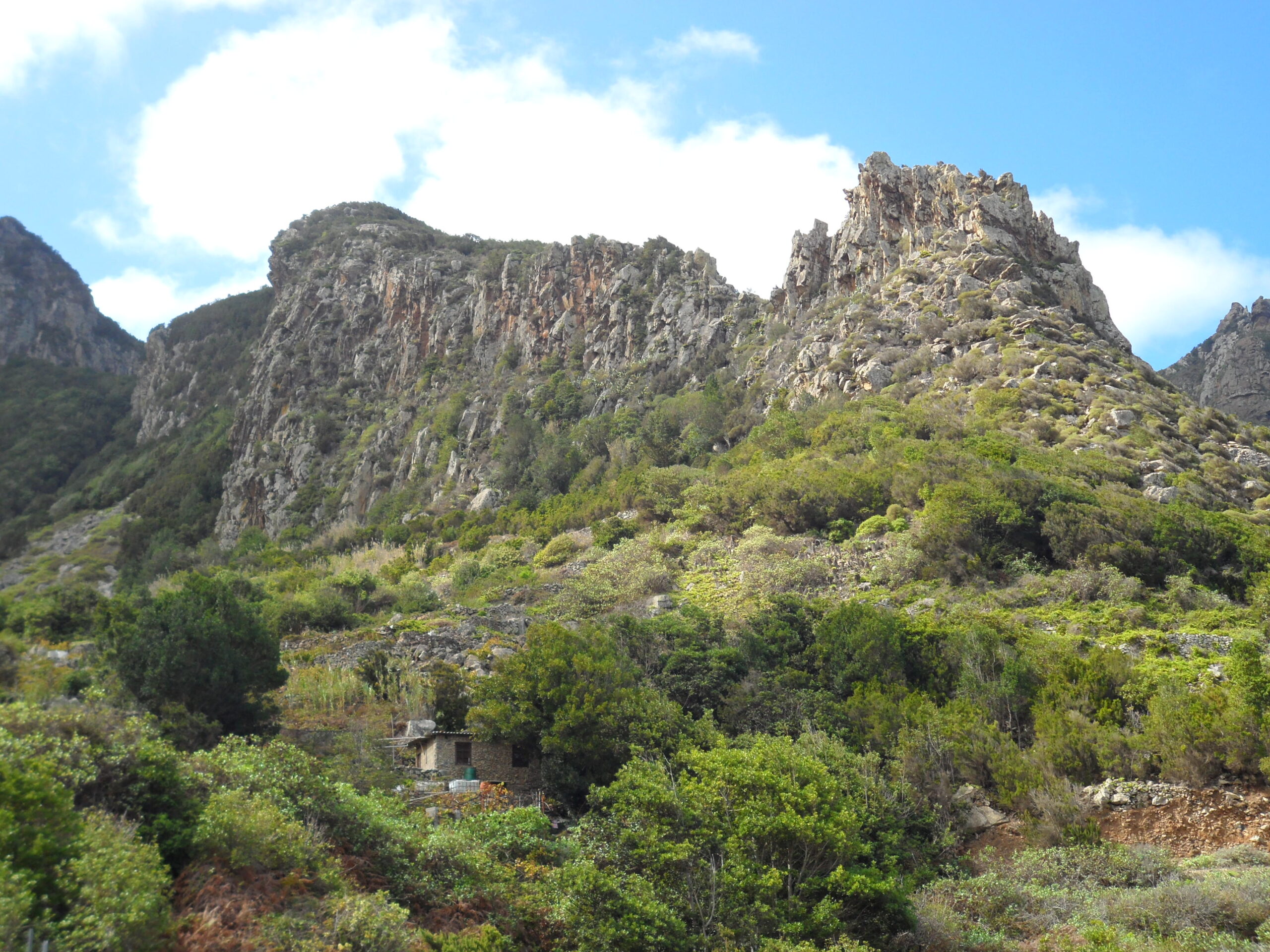 Steep columnar basalt cliffs covered with green vegetation rising above scrubland, with a small structure visible among lower vegetation
