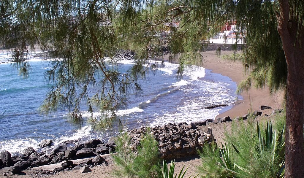 Sandy beach with volcanic rock formations and gentle Atlantic waves framed by willow branches.