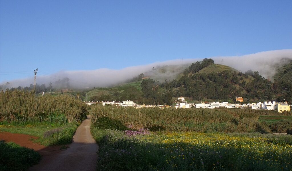 Dirt path through flowering fields with white-walled village and forested mountains shrouded in mist.