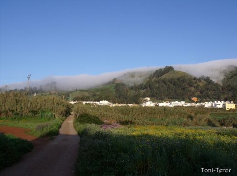 Teror Mountains