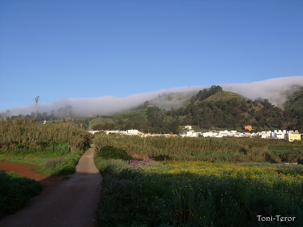 Teror Mountains