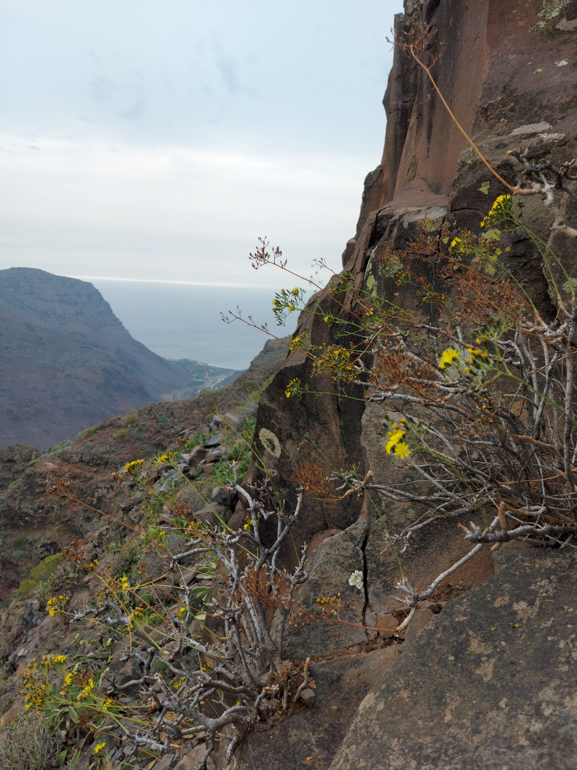 A dramatic clifftop vantage point in Valle Gran Rey reveals the rugged volcanic terrain and expansive views across the valley toward the sea.